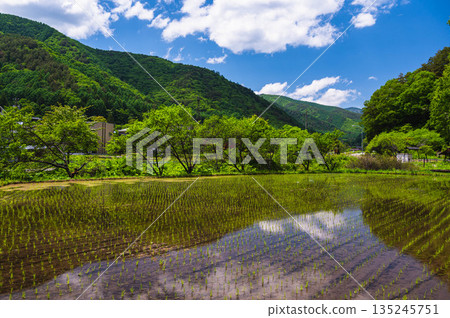 如月路沿線的鄉村景色 如月路沿線的鄉村景色 135245751