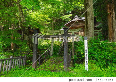 鬼怒川神社本殿 鬼怒川神社本殿 135245763