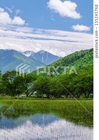Fresh green rural scenery and Mt. Kisokoma Fresh green rural scenery and Mt. Kisokoma 135245768