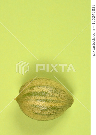 Striped pink tiger lemon 135245835