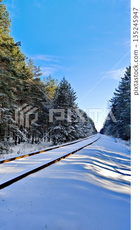 Curved Snowy Railway in Pine Forest Winter. Panoramic view of snow-covered curved railroad tracks through dense pine forest under bright winter sky. Scenic winter travel, adventure and peaceful nature 135245947
