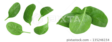 Baby spinach leaves isolated on white background. Top view. Flat lay 135246154