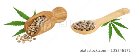 Hemp seeds in wooden scoop and spoon isolated on white background with full depth of field 135246171