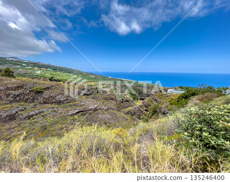 Landscape Scene on La Palma island Landscape Scene on La Palma island 135246400