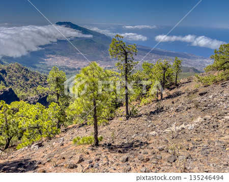 Trekking in Volcanic Landscape Trekking in Volcanic Landscape 135246494