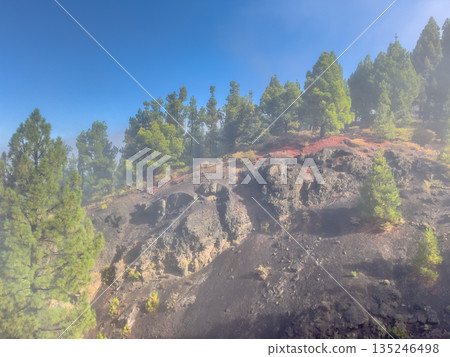 Trekking in Hazy Volcanic Landscape Trekking in Hazy Volcanic Landscape 135246498