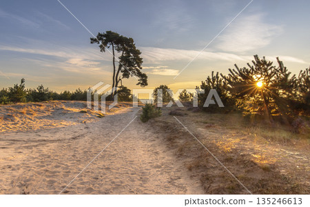 Sunrise on Aekingerzand Netherlands 135246613