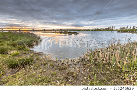 Shoreline vegetation of river floodplains 135246629