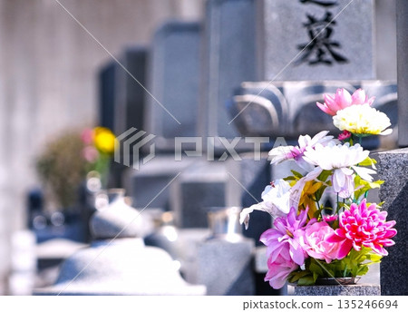 Grave flowers and gravestones in the cemetery 135246694
