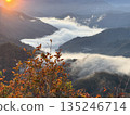 晨曦中，雲海翻騰，秋山染成一片金黃。 135246714