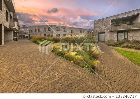 Modern houses with communal garden in the Netherlands 135246717