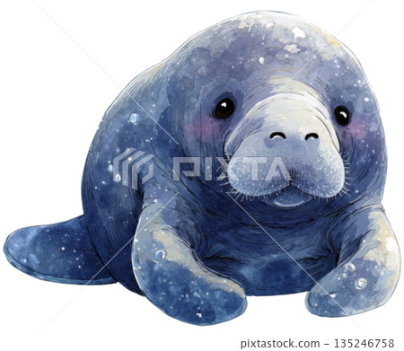 adorable manatee 135246758