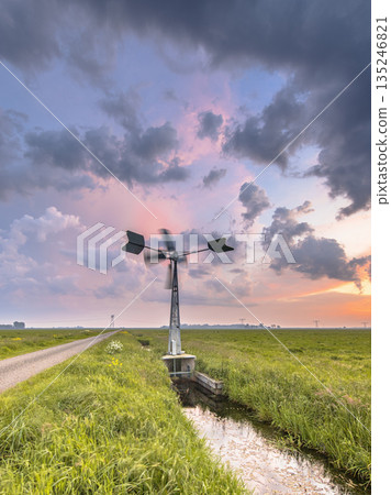 Polder Grassland landscape in Netherlands Polder Grassland landscape in Netherlands 135246821