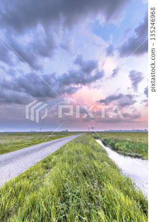 Polder grassland landscape in Netherlands Polder grassland landscape in Netherlands 135246968