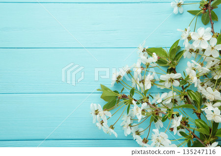 Apple tree blossom on blue wooden background. 135247116