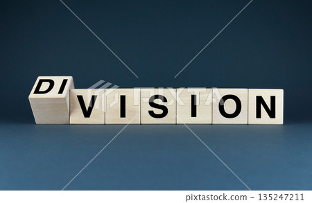 Wooden blocks with the words Vision and Division 135247211