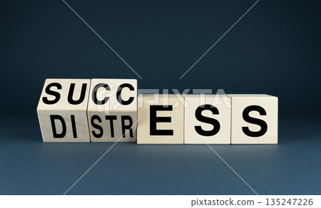 Wooden blocks spelling out Success and Distress Wooden blocks spelling out Success and Distress 135247226