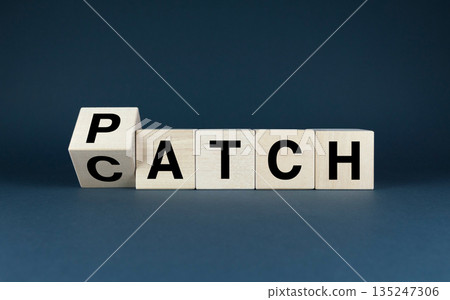 Wooden blocks spelling out Patch - Catch. Wooden blocks spelling out Patch - Catch. 135247306