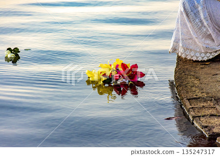Flowers being placed in the water Flowers being placed in the water 135247317