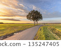 Agricultural grassland in the Netherlands 135247405
