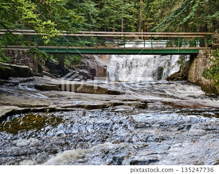 waterfall crossing amidst forest scenery, suspended footbridge over rushing waterfall surrounded 135247736