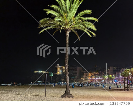 lone palm night, single tree on quiet beach, silent palm silhouette against tranquil coastline lone palm night, single tree on quiet beach, silent palm silhouette against tranquil coastline 135247799
