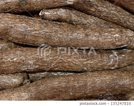 marketplace with fresh rustic cassava tubers, vendor prepares raw cassava roots for shipment marketplace with fresh rustic cassava tubers, vendor prepares raw cassava roots for shipment 135247810