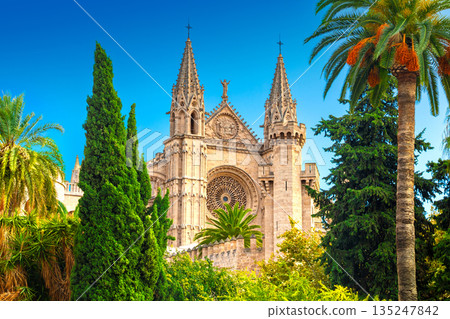 The Cathedral of Santa Maria of Palma and Parc del Mar near, Majorca, Spain 135247842