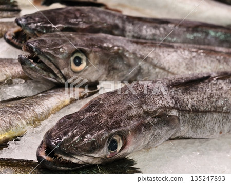 variety of whole fish arranged on ice, bulk display of fresh fish ready for wholesale purchase variety of whole fish arranged on ice, bulk display of fresh fish ready for wholesale purchase 135247893