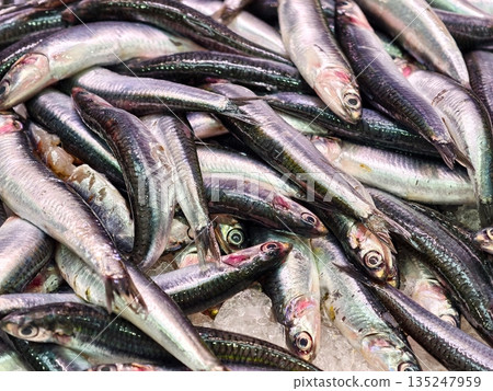 Closeup of sardines highlighting their shiny scales and eyes Closeup of sardines highlighting their shiny scales and eyes 135247959