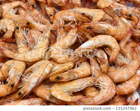 Sustainable sourced shellfish arranged for relaxed coastal 135247962
