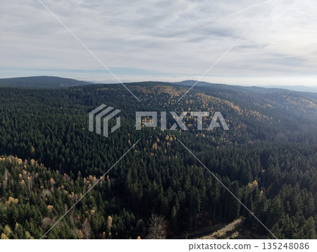 aerial perspective showing foggy highland forest with survey team amid thick greenery and drifting vapors aerial perspective showing foggy highland forest with survey team amid thick greenery and drifting vapors 135248086