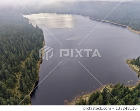 serene water view, vast lake with trees and clouds, calm basin reflecting sky amidst wooded shores serene water view, vast lake with trees and clouds, calm basin reflecting sky amidst wooded shores 135248116