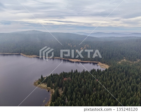 calm lake amidst lush trees, tranquil lake encircled by thick forests under gentle gray sky 135248120