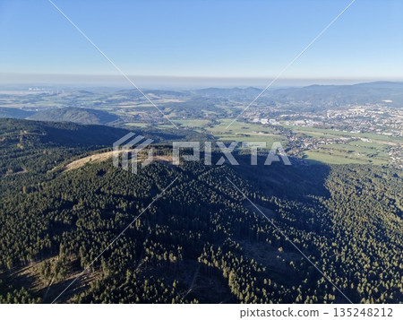 Environmental Researcher Assesses Plant And Animal Life In Dewcovered Woodland Environment 135248212