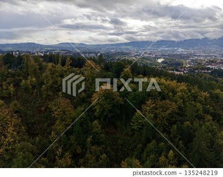 Suburban Skyline With Natural Surroundings, Aerial Perspective Of City Edges And Lush Tree Canopies 135248219