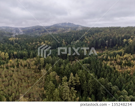 Examining Tree Placements And Water Supply Resilience Through Aerial Imagery In Cloudy Weather Conditions 135248234