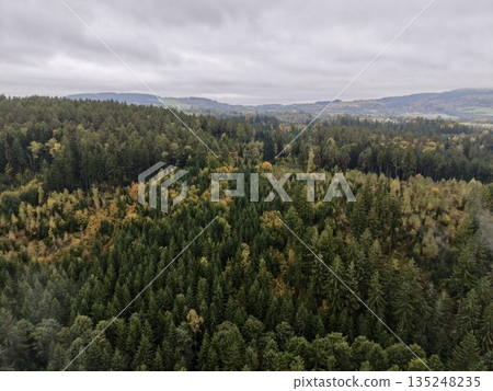 Assessing Rural Fringe Development Potential, Analyzing Scattered Homes And Dense Woods From Above Assessing Rural Fringe Development Potential, Analyzing Scattered Homes And Dense Woods From Above 135248235