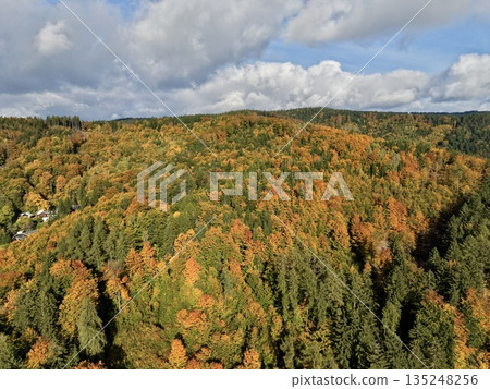 Bright Mosaic Of Seasonal Forest Hues, Autumn Woodland With Diverse Colors And Shadowed Valleys 135248256