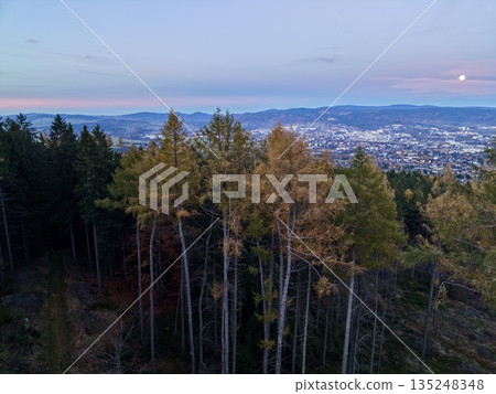 Nighttime Cityscape, Aerial Perspective Capturing Moonlit Urban Area Surrounded By Towering Trees 135248348