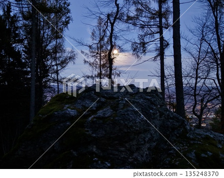Serene Moonrise Through Slender Pines Casting Gentle Light Onto Mosscovered Granite Terrain Under Dark Sky Serene Moonrise Through Slender Pines Casting Gentle Light Onto Mosscovered Granite Terrain Under Dark Sky 135248370