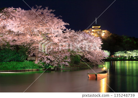 【神奈川縣】三溪園的三重塔和夜晚的櫻花 135248739