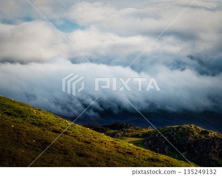 Green hills with grazing sheep are partially obscured by heavy fog and low clouds in the Highlands. The light shines on the hills creating a contrast with the approaching storm. Green hills with grazing sheep are partially obscured by heavy fog and low clouds in the Highlands. The light shines on the hills creating a contrast with the approaching storm. 135249132