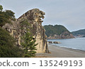 Kumano's Lion Rock and the Pacific Ocean 135249193