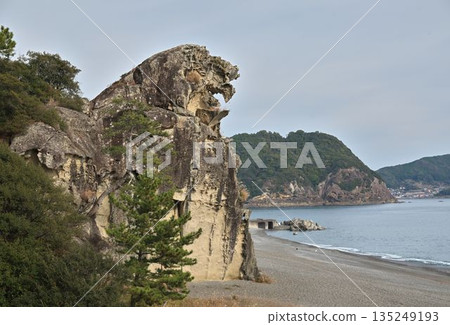 Kumano's Lion Rock and the Pacific Ocean 135249193