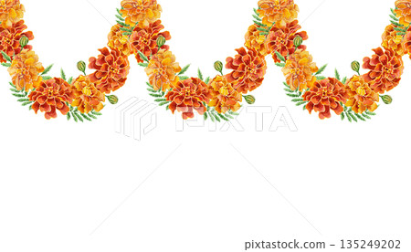 Marigold garland seamless border. Hand drawn watercolor illustration of flowers, isolated. Perfect for birthday, Day of the Dead and Diwali cards and invitations. 135249202