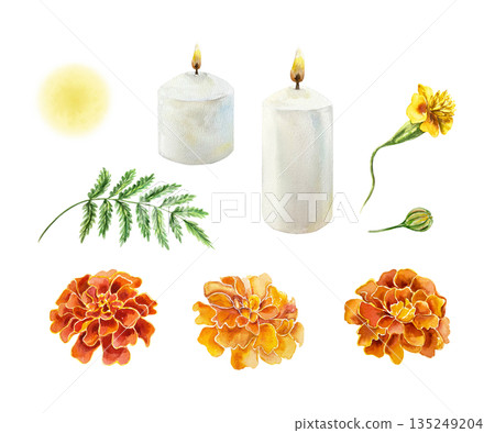 Marigold and candle set. Flowers, bud, leaves, fire flame. Hand drawn watercolor illustration, isolated. Suitable for cards and invitations for birthdays, Day of the Dead and Diwali. Marigold and candle set. Flowers, bud, leaves, fire flame. Hand drawn watercolor illustration, isolated. Suitable for cards and invitations for birthdays, Day of the Dead and Diwali. 135249204