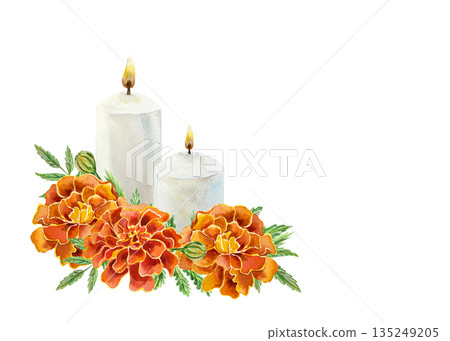Marigolds and two candles. Hand drawn watercolor illustration of flowers, isolated. Suitable for cards and invitations for birthdays, Day of the Dead and Diwali. Marigolds and two candles. Hand drawn watercolor illustration of flowers, isolated. Suitable for cards and invitations for birthdays, Day of the Dead and Diwali. 135249205