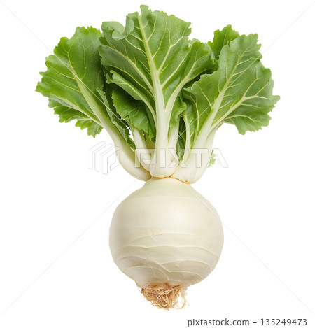 Fresh Turnip With Green Leaves Showing Close-Up on White Background 135249473