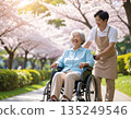 在柔和的春日陽光下，護理人員和患者沿著盛開的櫻花樹悠閒漫步。 135249546